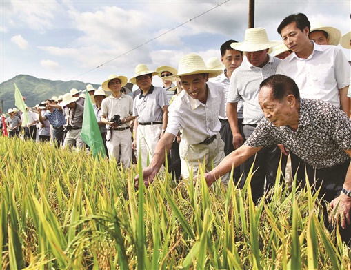 中国科学家用新技术提高盐碱地生产力