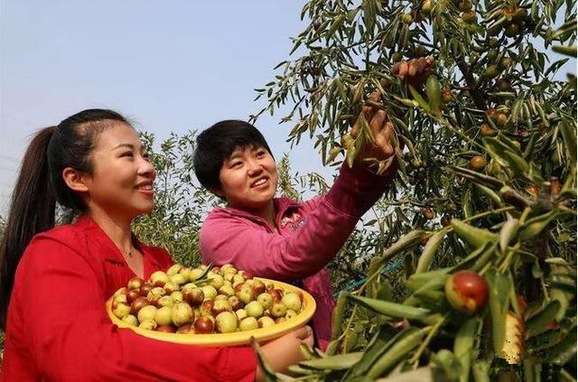 十一黄金周热档：假期撬动国内消费市场升级的新动能