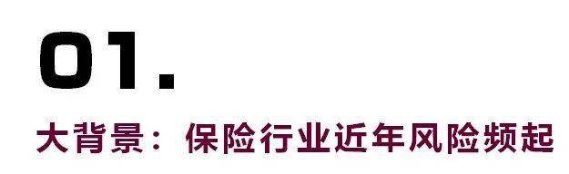 保险业对外开放步伐加快 外资再保险公司增至9家