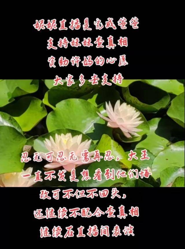 透过一场“全国行”，再次看到川酒正在释放的强大势能