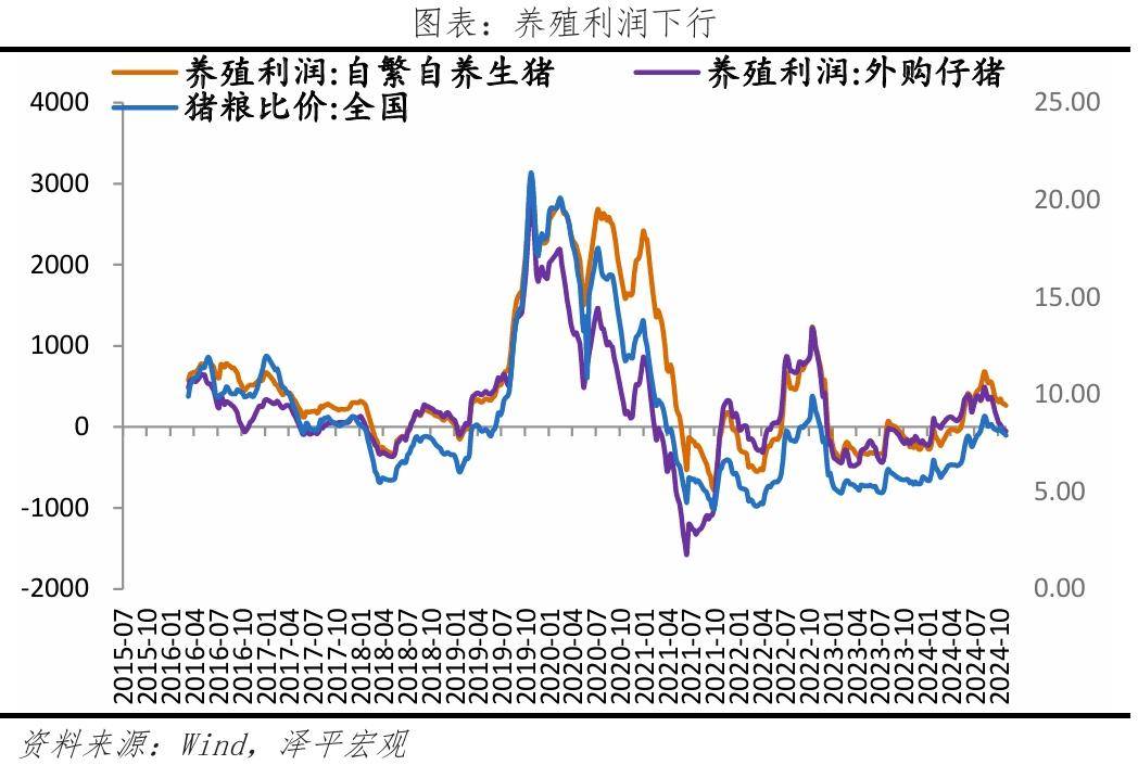 11月CPI同比涨0.2% PPI降幅收窄