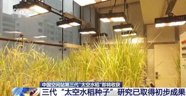 专家详解中国空间站未来开展的重点科学与应用研究