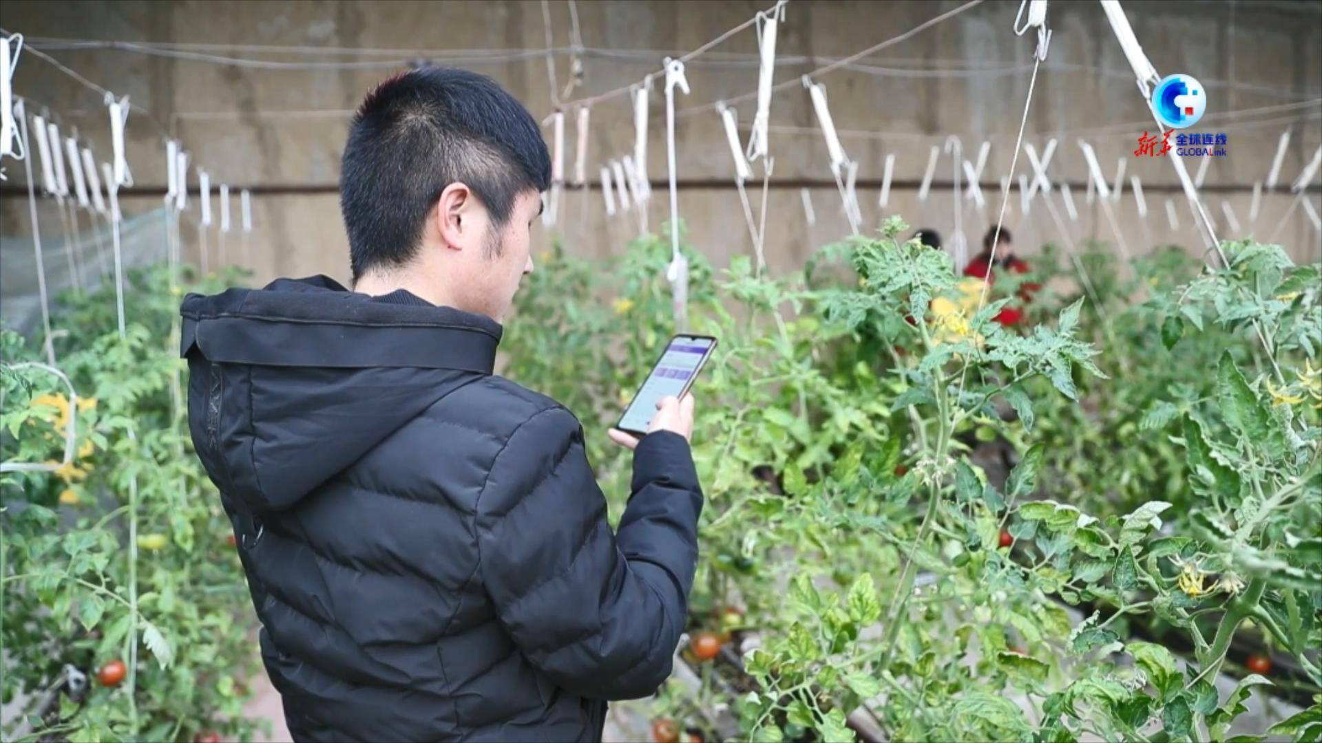全球连线｜“洋记者”看科技如何赋能春运