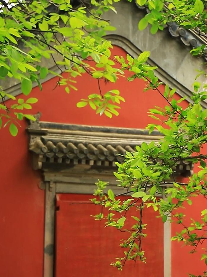 春天里的中国｜“智”护春耕好“丰”景