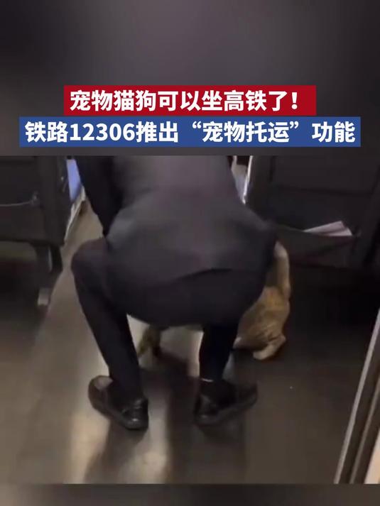 高铁宠物托运：“智能监测+运输箱”打造萌宠专属舱