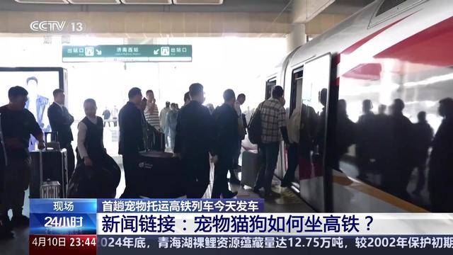 高铁宠物托运：“智能监测+运输箱”打造萌宠专属舱