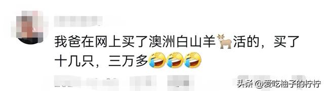 银发族如何在直播间不乱花钱