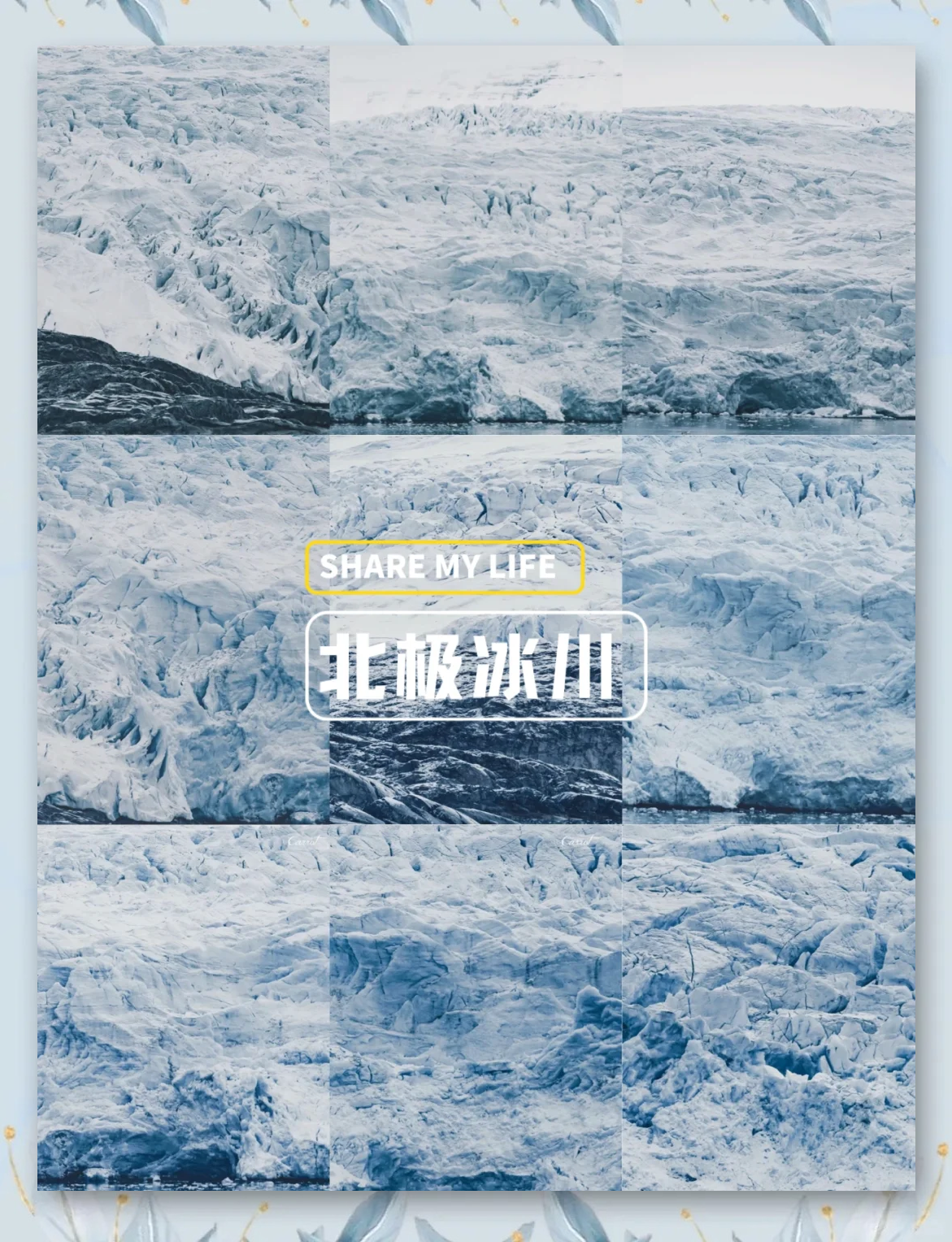 中国科学家多元探索保护冰川