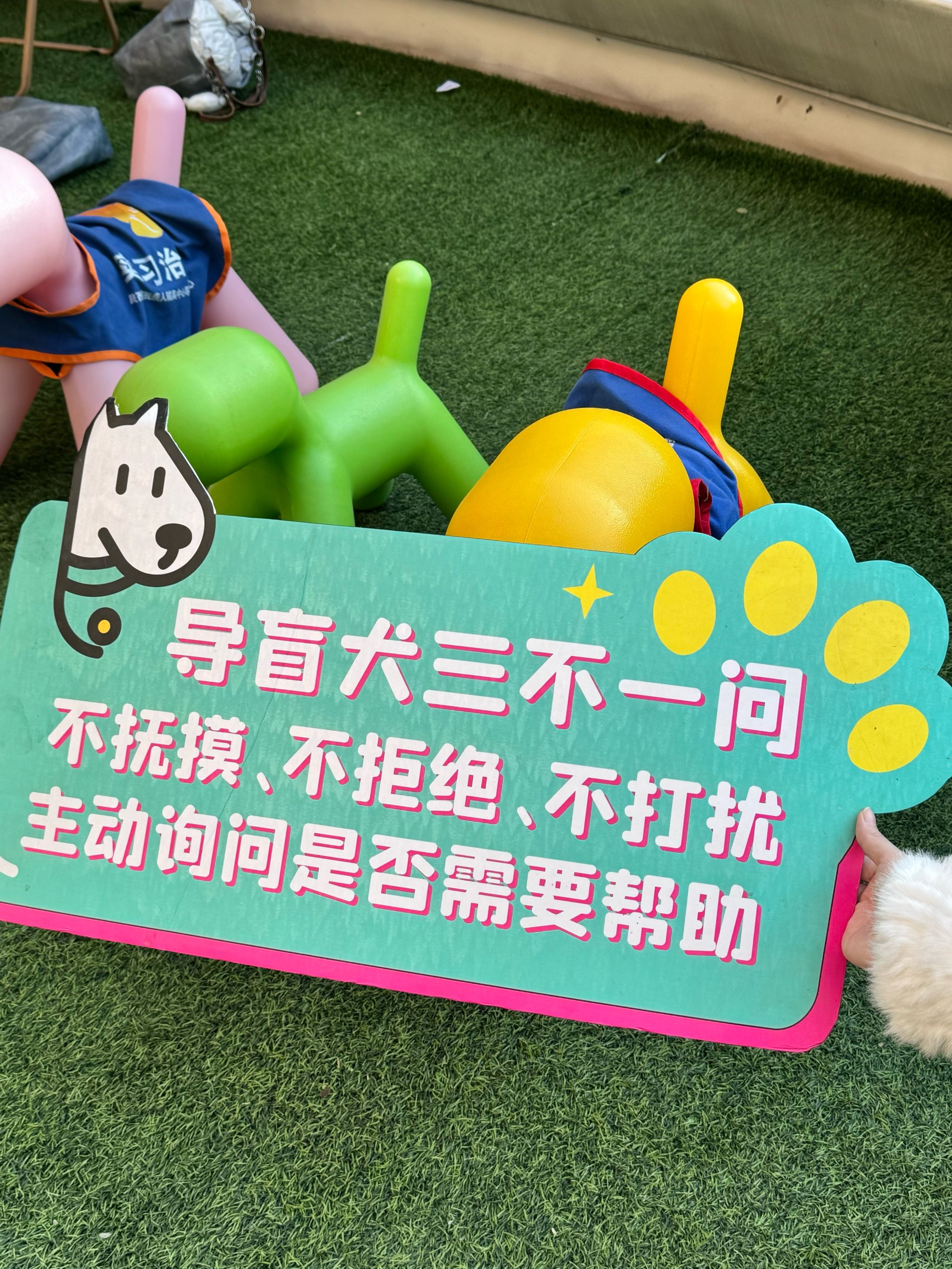 机器人助力幸福生活｜电子导盲犬让视障人士“看见”生活点滴