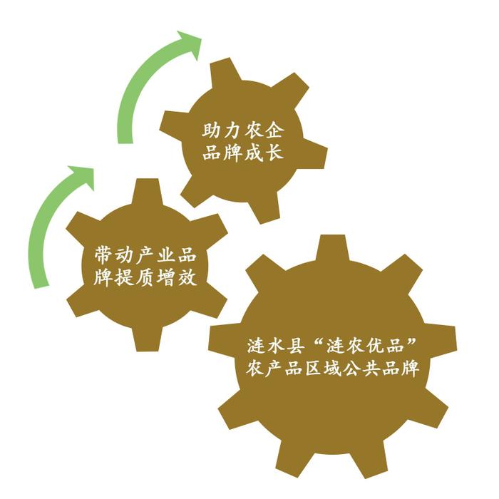 丰收地图农担行丨情系乡村振兴梦 农担助力菌产业
