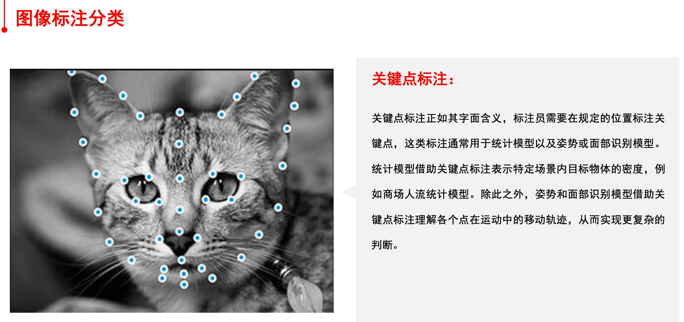 数据标注产业乘风起航加速发展