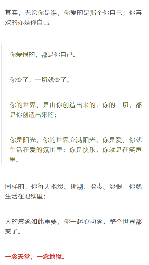 轻工业活力充沛展新质