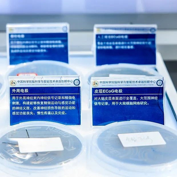 七部门：推动脑机接口产业创新发展