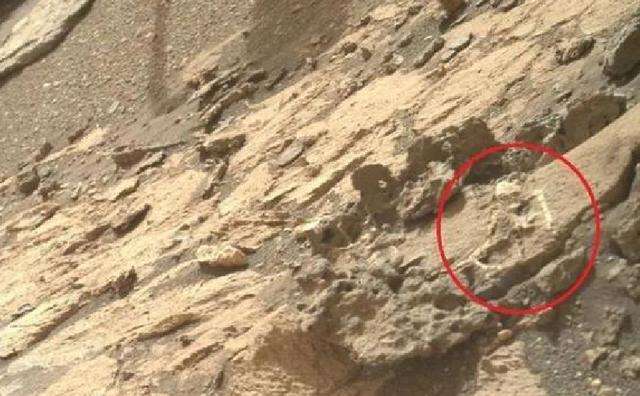 科学家发现火星存在固态内核 与地球高度相似