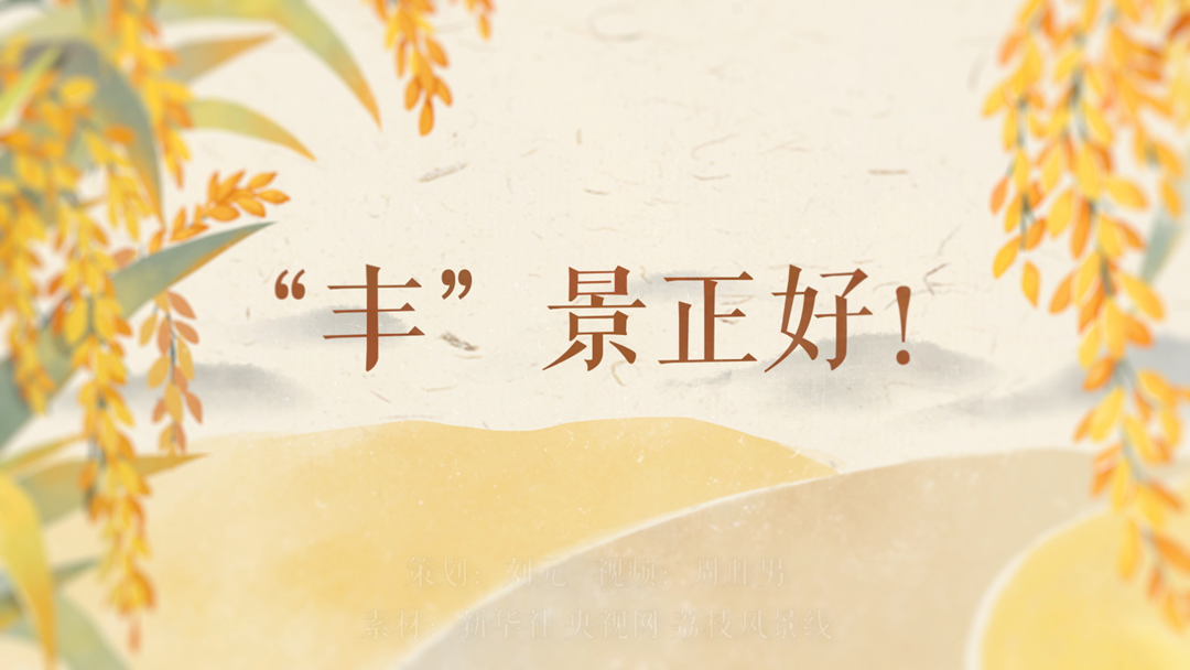 “金”风拂沃野 “贷”来五谷香 江苏银行用心守护秋收好“丰”景