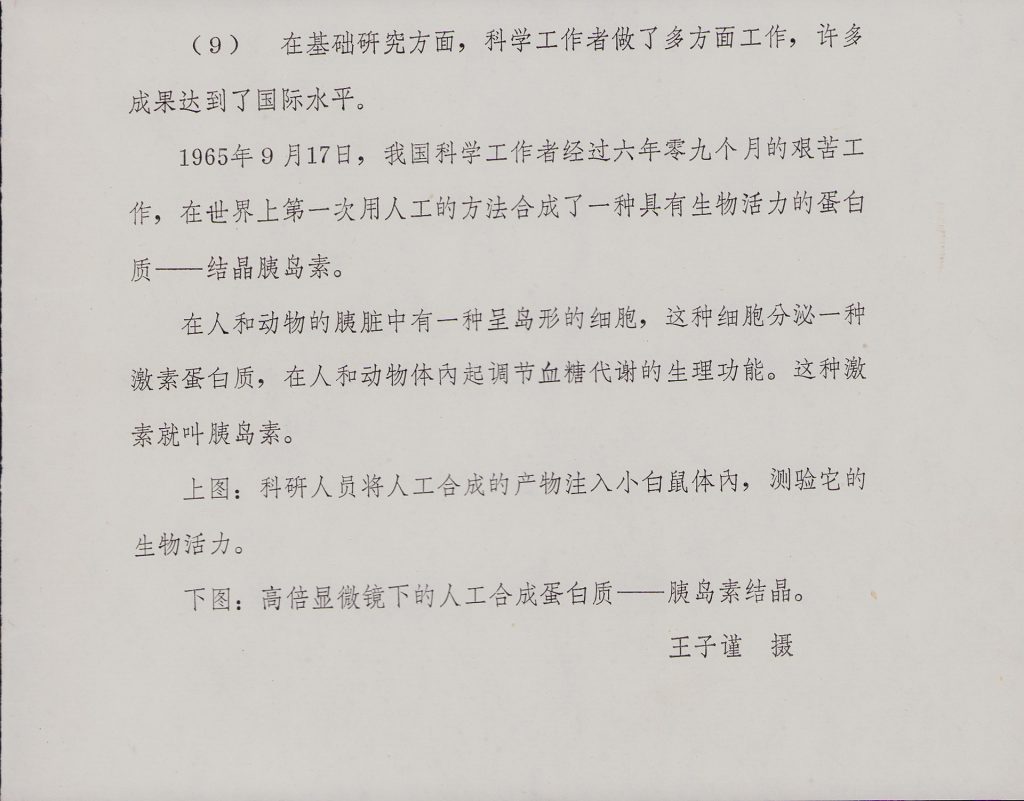 蛋白质合成，探索生命起源之谜